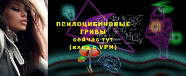 МДПВ Дмитриев