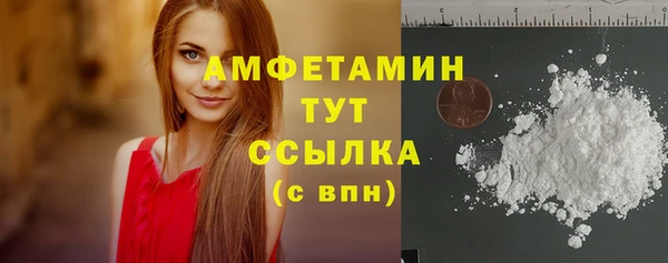МДПВ Дмитриев