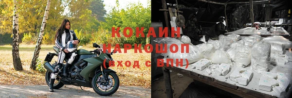 МДПВ Дмитриев