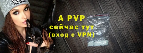 МДПВ Дмитриев