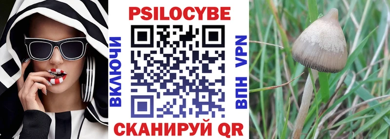 Галлюциногенные грибы MAGIC MUSHROOMS  Купить где  Нерехта 
